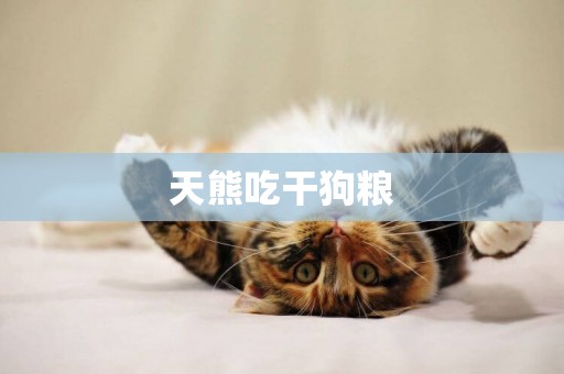 天熊吃干狗糧