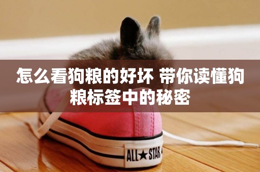 怎么看狗糧的好壞 帶你讀懂狗糧標簽中的秘密