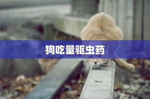 狗吃量驅蟲藥