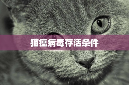 貓瘟病毒存活條件