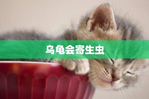 烏龜會寄生蟲
