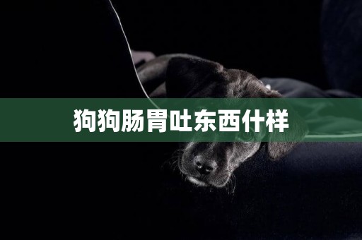 狗狗腸胃吐東西什樣