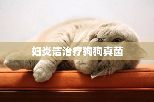 婦炎潔治療狗狗真菌