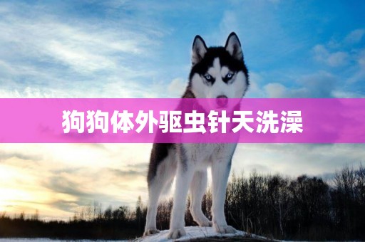 狗狗體外驅蟲針天洗澡