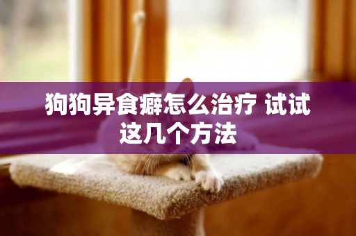 狗狗異食癖怎么治療 試試這幾個方法