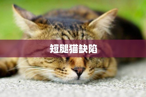 短腿貓缺陷