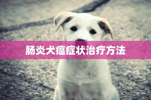 腸炎犬瘟癥狀治療方法