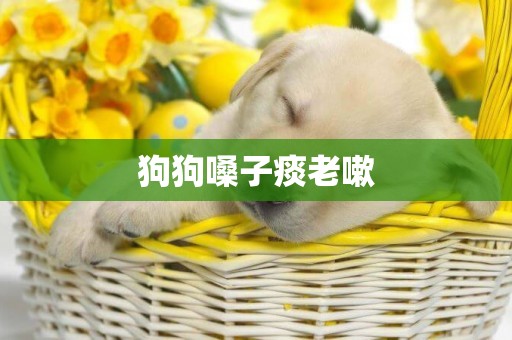 狗狗嗓子痰老嗽