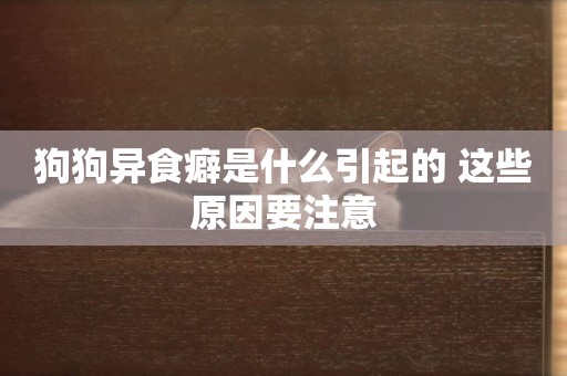 狗狗異食癖是什么引起的 這些原因要注意