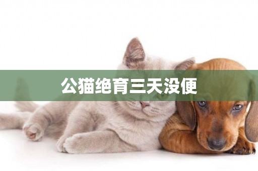 公貓絕育三天沒便