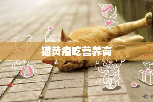 貓黃疸吃營養膏