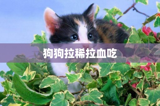 狗狗拉稀拉血吃