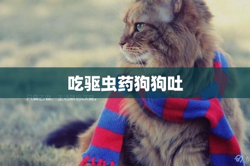 吃驅蟲藥狗狗吐