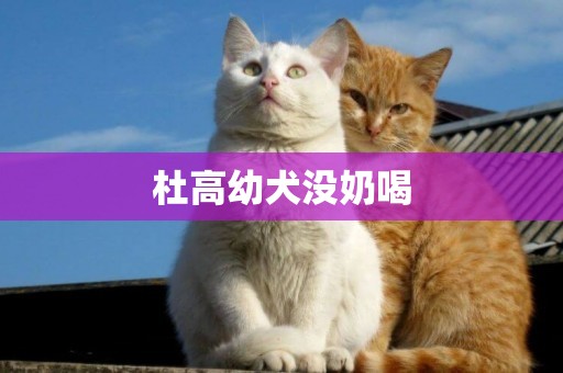 杜高幼犬沒奶喝