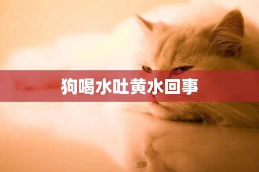 狗喝水吐黃水回事
