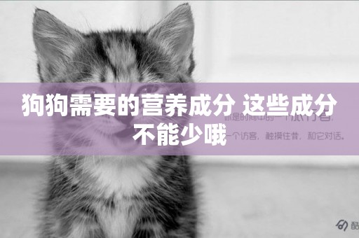 狗狗需要的營養成分 這些成分不能少哦