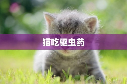 貓吃驅蟲藥