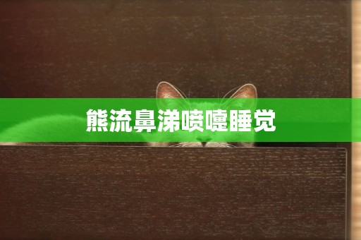 熊流鼻涕噴嚏睡覺