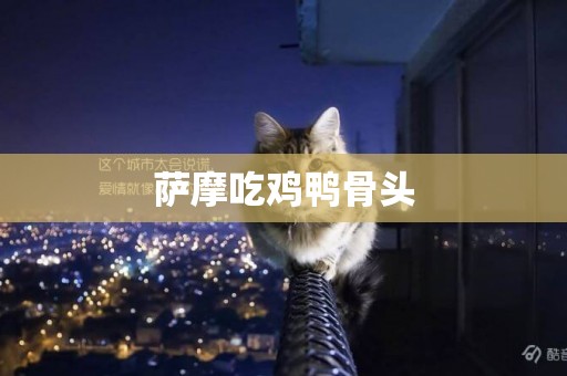 薩摩吃雞鴨骨頭