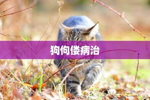 狗佝僂病治