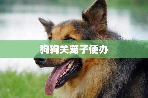 狗狗關籠子便辦
