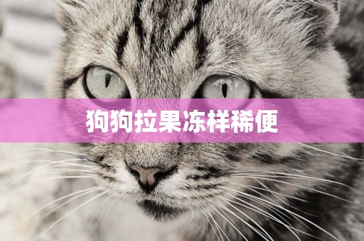 狗狗拉果凍樣稀便
