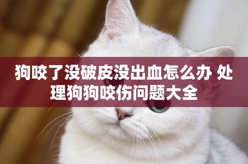 狗咬了沒破皮沒出血怎么辦 處理狗狗咬傷問題大全