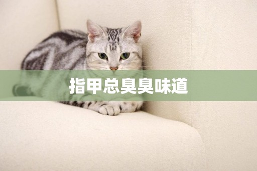 指甲總臭臭味道