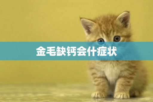 金毛缺鈣會什癥狀