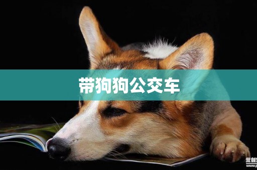 帶狗狗公交車