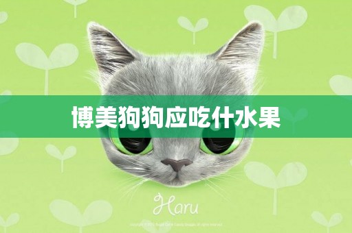 博美狗狗應吃什水果