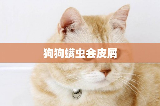 狗狗螨蟲會皮屑