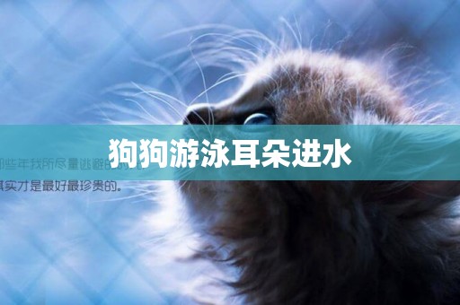 狗狗游泳耳朵進水