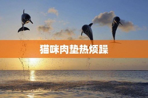 貓咪肉墊熱煩躁