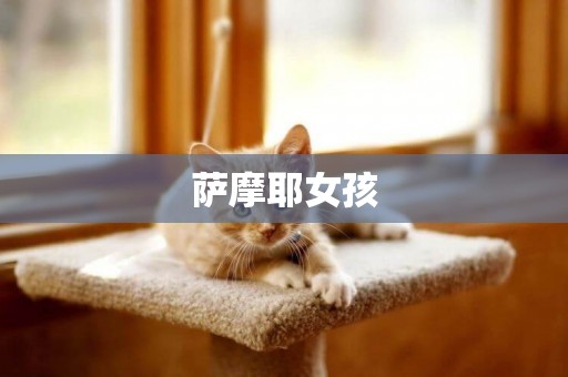 薩摩耶女孩