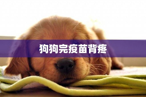 狗狗完疫苗背疼