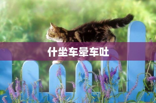 什坐車暈車吐