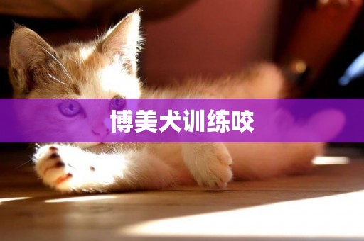 博美犬訓練咬