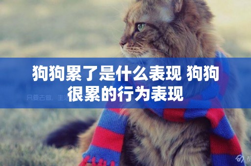 狗狗累了是什么表現 狗狗很累的行為表現