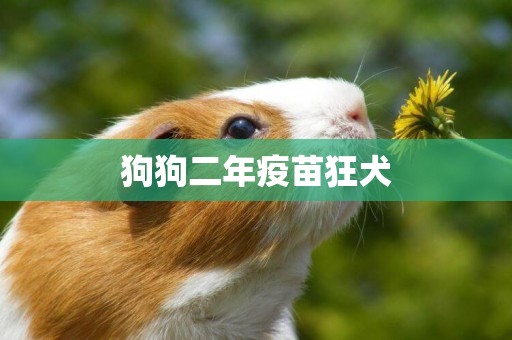 狗狗二年疫苗狂犬