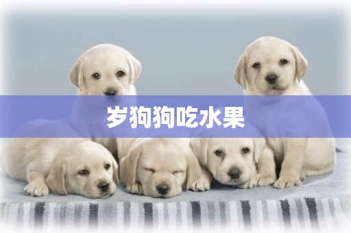 歲狗狗吃水果