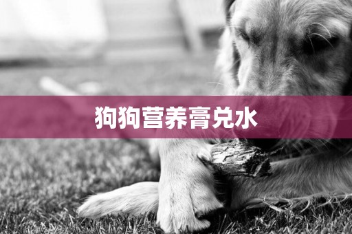 狗狗營養膏兌水