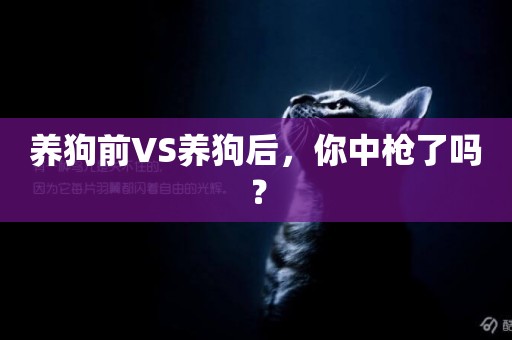 養狗前VS養狗后，你中槍了嗎？