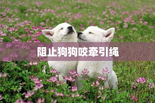 阻止狗狗咬牽引繩