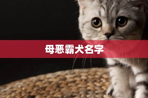母惡霸犬名字