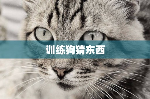 訓練狗猜東西