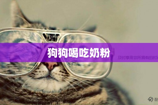 狗狗喝吃奶粉