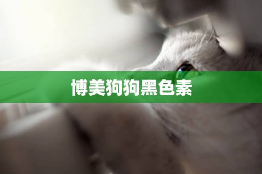 博美狗狗黑色素