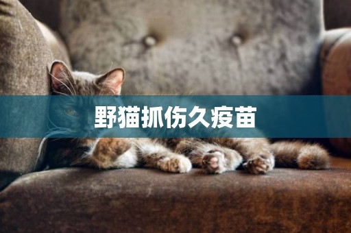 野貓抓傷久疫苗