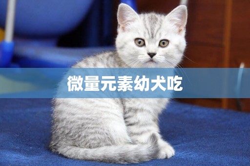 微量元素幼犬吃